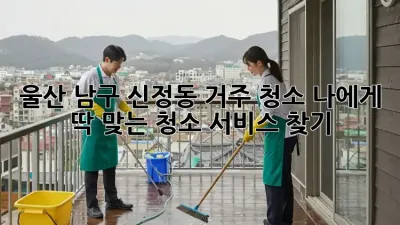 울산 남구 신정동 거주 청소: 나에게 딱 맞는 청소 서비스 찾기