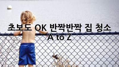 ✨초보도 OK! 반짝반짝 집 청소 A to Z✨